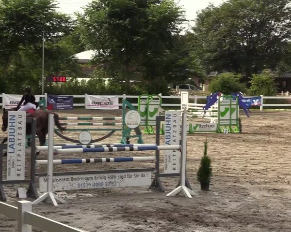 Reitturnier Mildstedt 2022