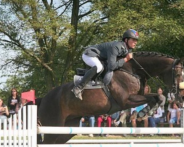 jumper Ronaldo 96 (KWPN (Royal Dutch Sporthorse), 1998, from Burggraaf)