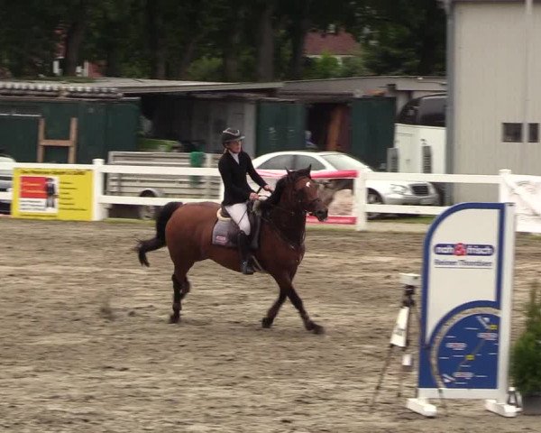 Reitturnier Mildstedt 2022