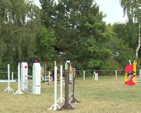 Reitturnier Hof-Haidt/Ofr. 2022