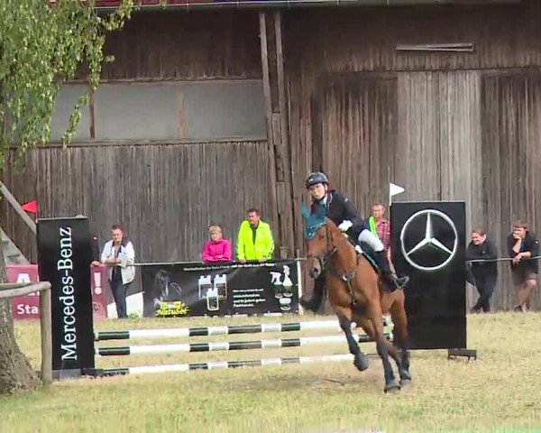Reitturnier Hof-Haidt/Ofr. 2022