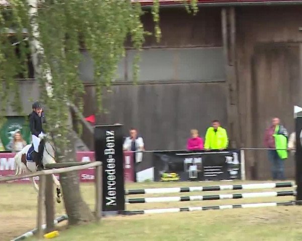 Reitturnier Hof-Haidt/Ofr. 2022