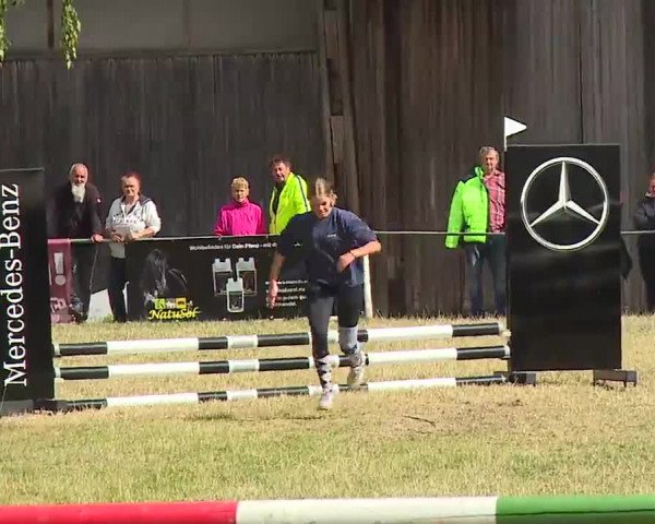Reitturnier Hof-Haidt/Ofr. 2022