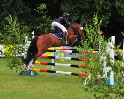 jumper Ramiro (New Forest Pony, 1997, from Anydale Ron)