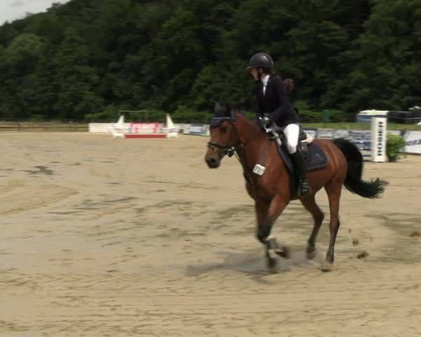 Reitturnier Hemer-Oese an der Edelburg 2022