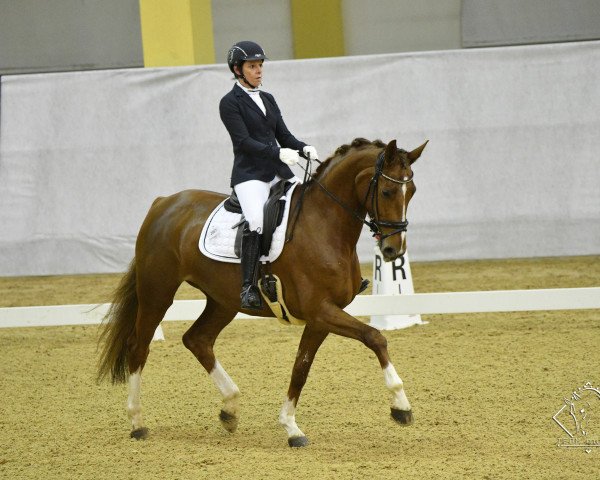 Ursula Mayer-Rabl