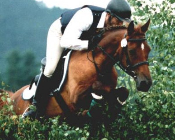 broodmare Alsura's Aotearaoa (Thoroughbred, 1997, from Zarif III ox)