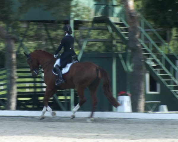 Reitturnier W, Wien-Freudenau/ASKÖ 2022