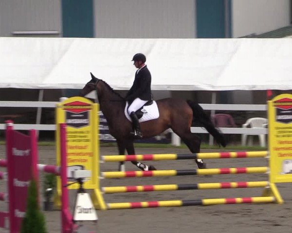 Reitturnier Mildstedt 2022
