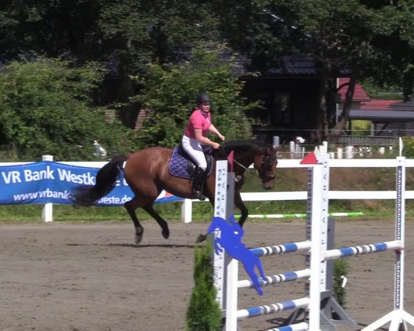Reitturnier Mildstedt 2022