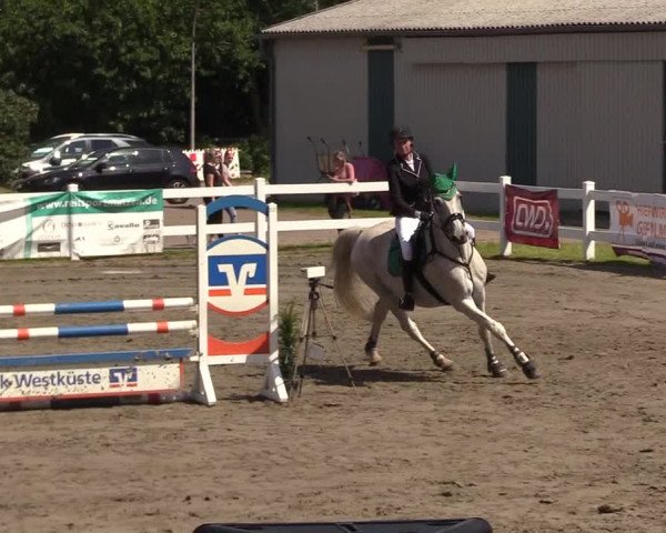Reitturnier Mildstedt 2022
