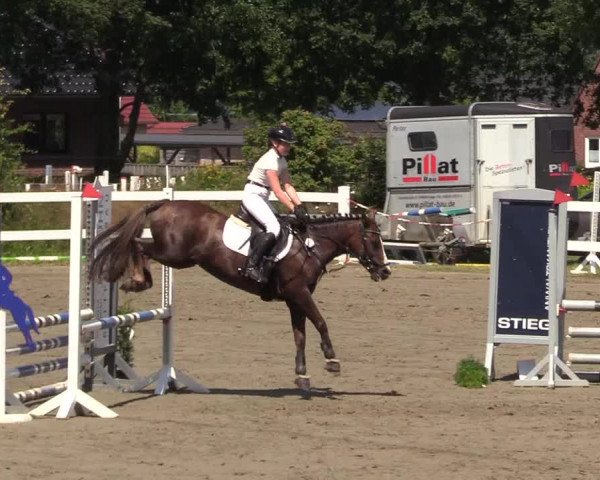 Reitturnier Mildstedt 2022