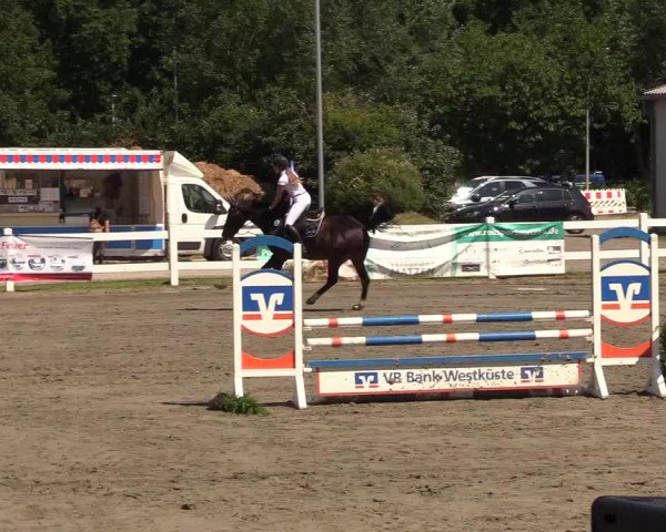 Reitturnier Mildstedt 2022