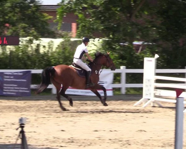Reitturnier Mildstedt 2022