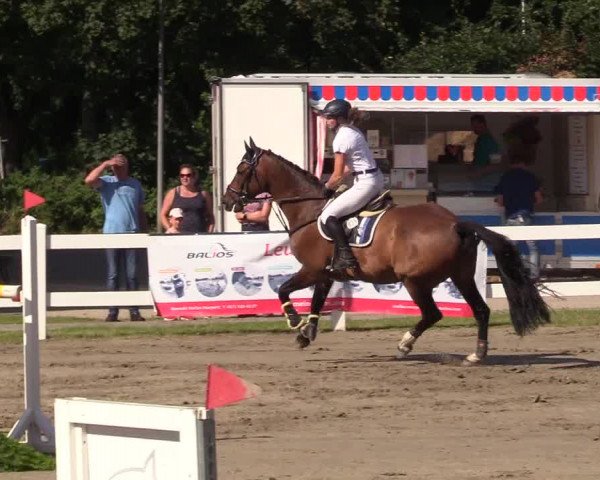 Reitturnier Mildstedt 2022