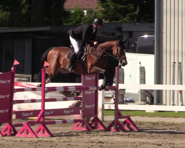 Reitturnier Mildstedt 2022