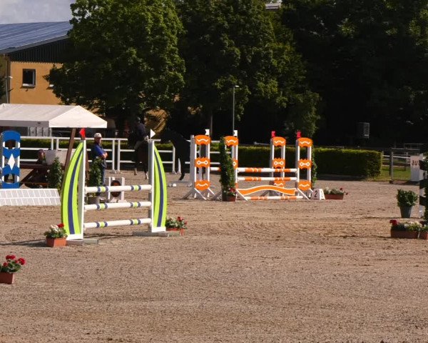 Reitturnier Neustadt/Dosse 2022