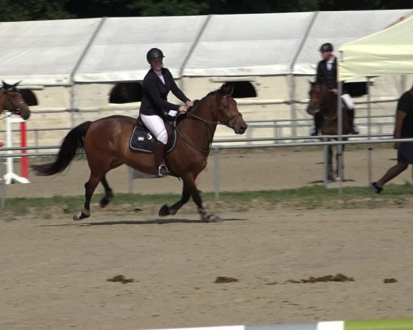 Reitturnier Weiswampach 2022