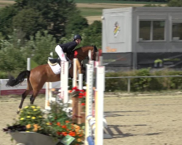 Reitturnier Weiswampach 2022