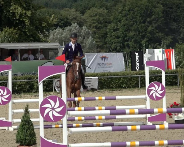 Reitturnier Weiswampach 2022