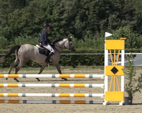 Reitturnier Weiswampach 2022