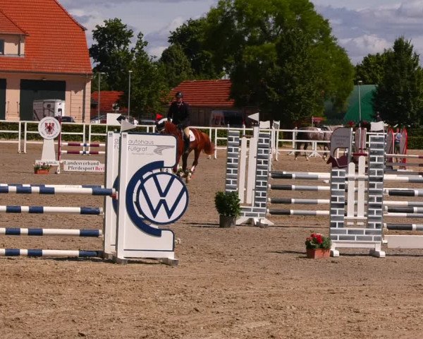 Reitturnier Neustadt/Dosse 2022