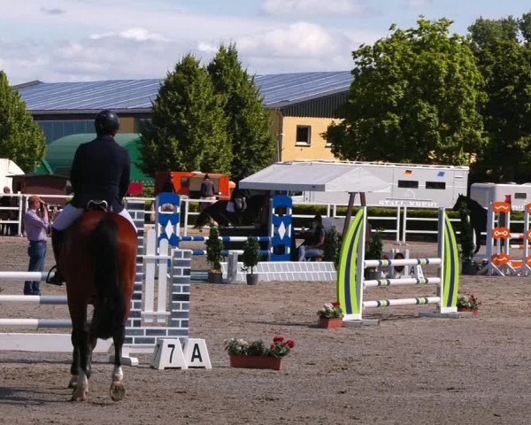 Reitturnier Neustadt/Dosse 2022