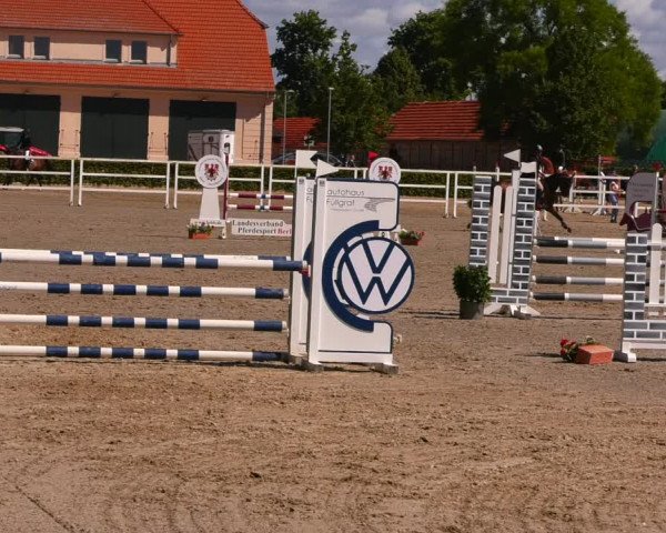 Reitturnier Neustadt/Dosse 2022