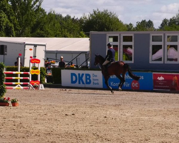 Reitturnier Neustadt/Dosse 2022