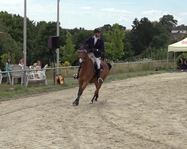 Reitturnier Weiswampach 2022