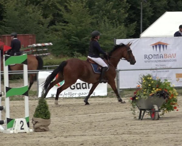 Reitturnier Weiswampach 2022