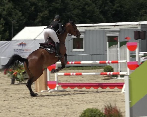 Reitturnier Weiswampach 2022