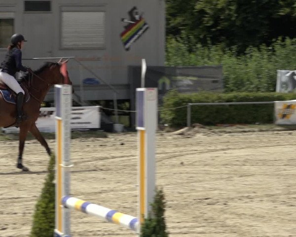 Reitturnier Weiswampach 2022
