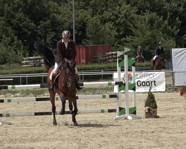 Reitturnier Weiswampach 2022