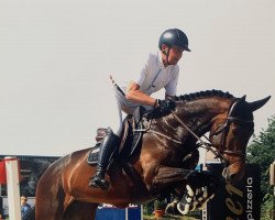 jumper Inola Bay (KWPN (Royal Dutch Sporthorse), 2017, from Ibolensky)