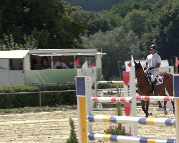 Reitturnier Weiswampach 2022