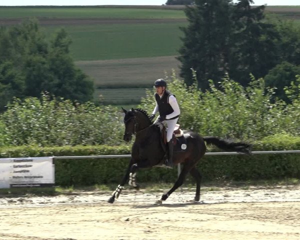 Reitturnier Weiswampach 2022