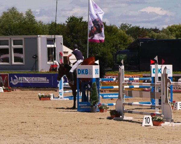 Reitturnier Neustadt/Dosse 2022