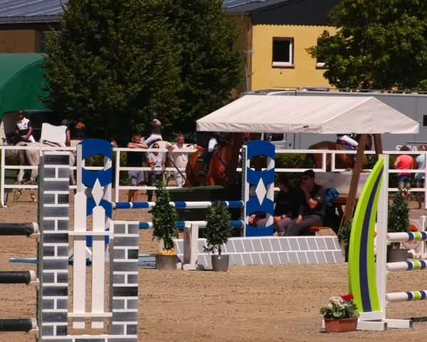 Reitturnier Neustadt/Dosse 2022