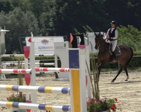 Reitturnier Weiswampach 2022