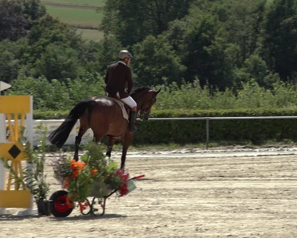 Reitturnier Weiswampach 2022