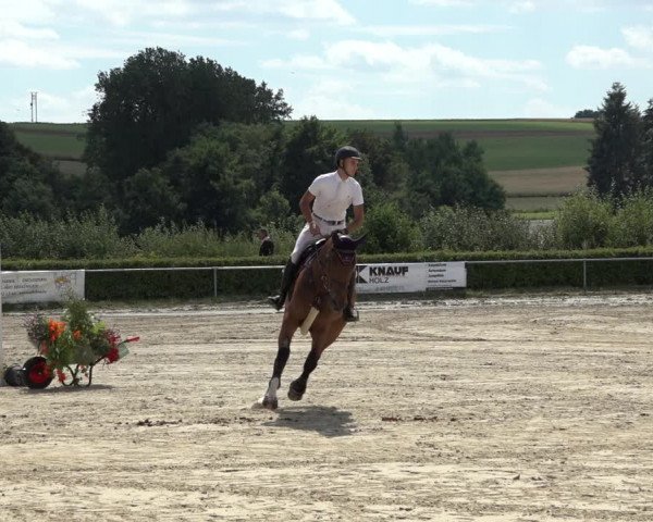Reitturnier Weiswampach 2022