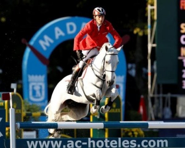 Springpferd Chilli van Dijk NRW (Westfale, 1999, von Champion du Lys)