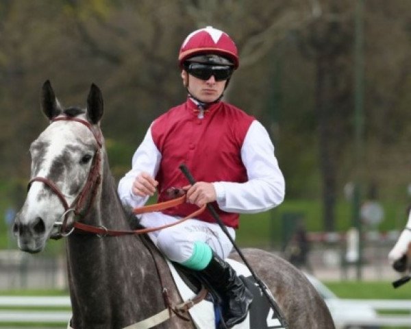 broodmare Antiquities xx (Thoroughbred, 2005, from Kaldounevees xx)