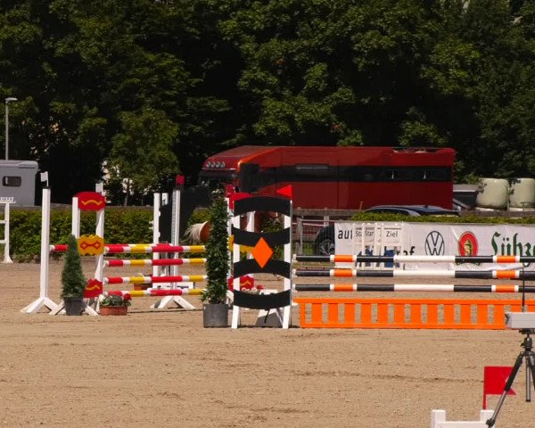 Reitturnier Neustadt/Dosse 2022