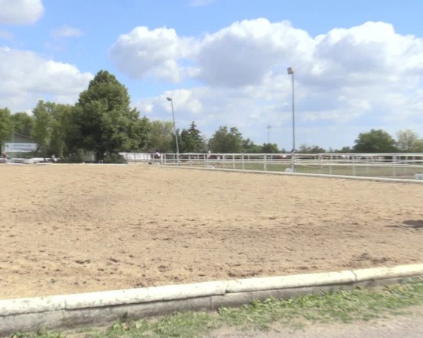 Reitturnier Kottingbrunn 2022
