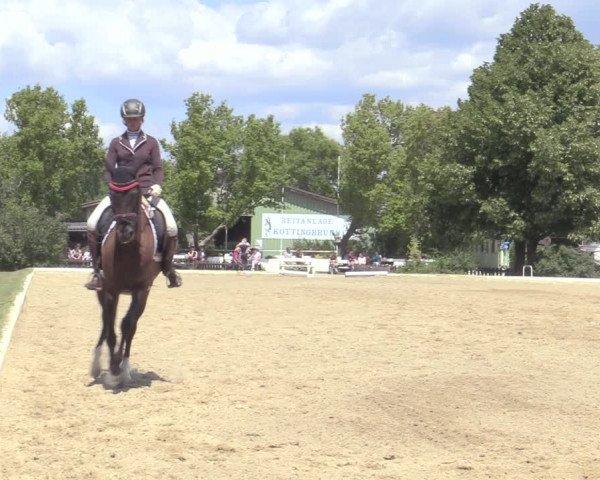 Reitturnier Kottingbrunn 2022