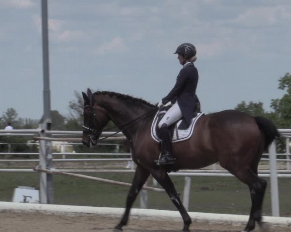 Reitturnier Kottingbrunn 2022