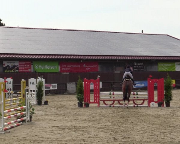Reitturnier Marienheide-Kempershöhe 2022