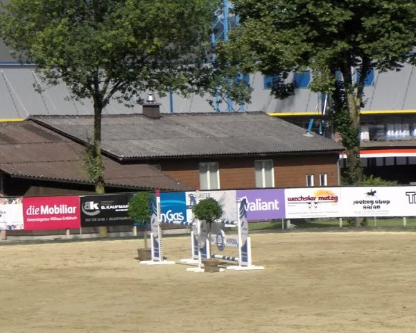 Reitturnier Dagmersellen 2022
